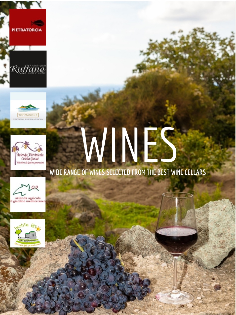 Wines of the island of Ischia